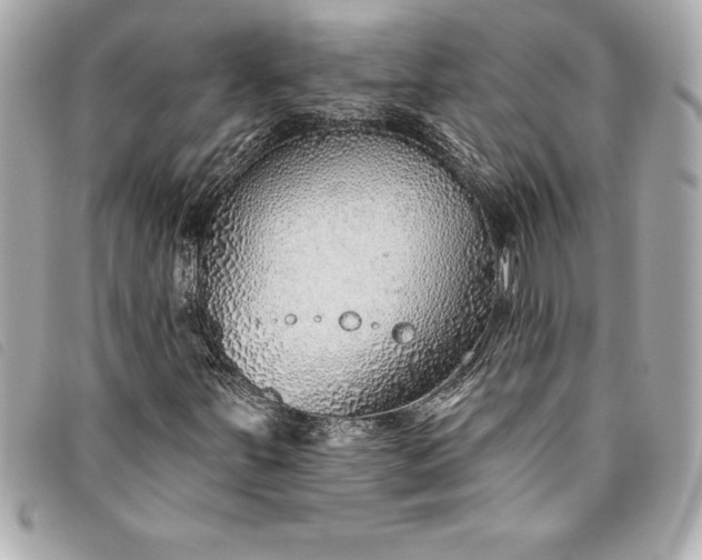 X0000093501251200710261131