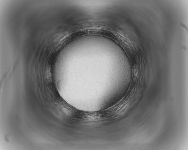 X0000093501252200710261131