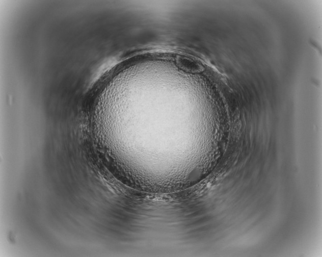 X0000093501255200710261131