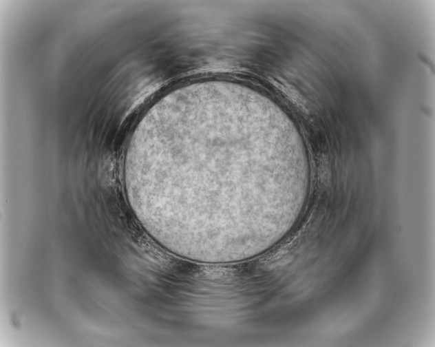X0000093501258200710261131