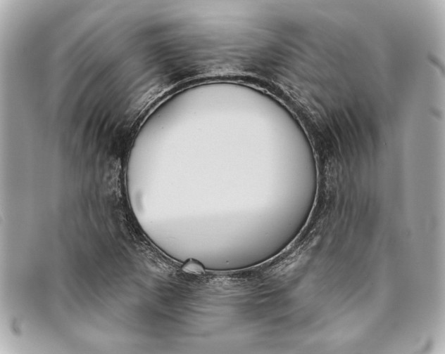 X0000093501265200710261131