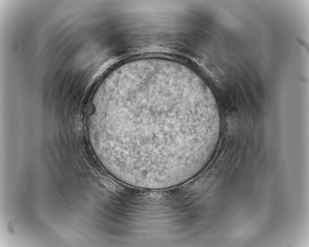 X0000093501266200710261131