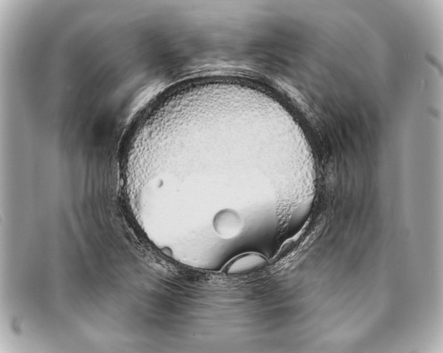 X0000093501267200710261131