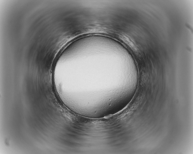 X0000093501268200710261131