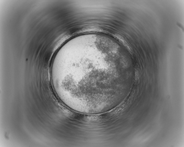 X0000093501274200710261131