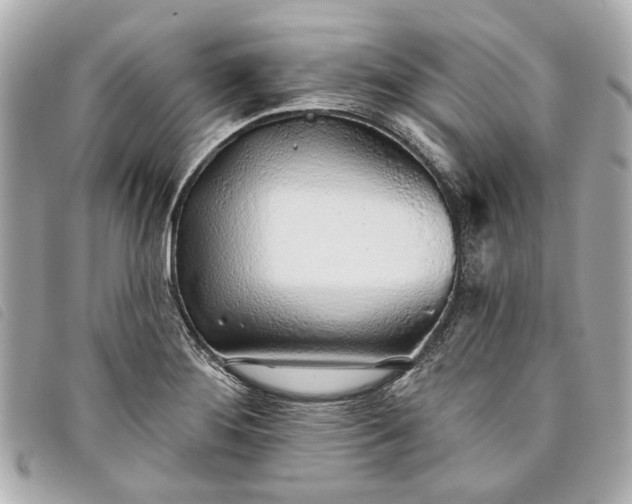 X0000093501276200710261131