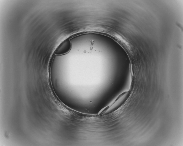 X0000093501280200710261131