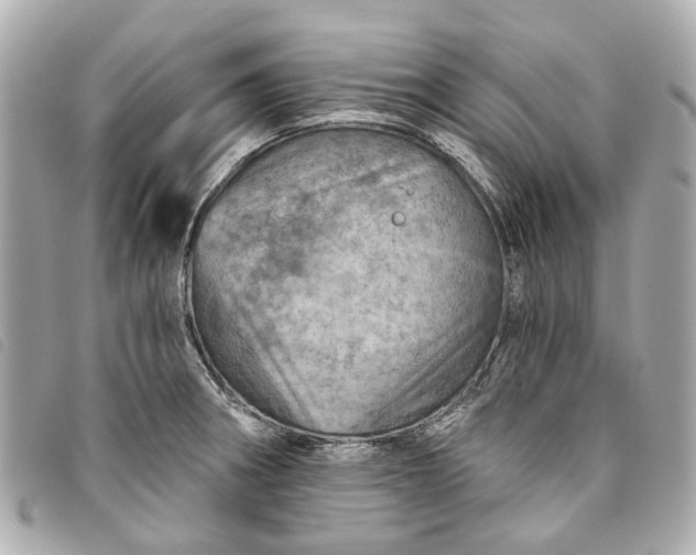 X0000093501282200710261131