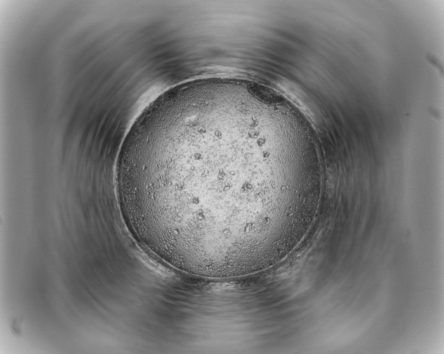 X0000093501283200710261131