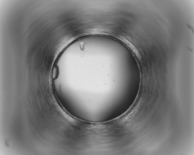 X0000093501285200710261131
