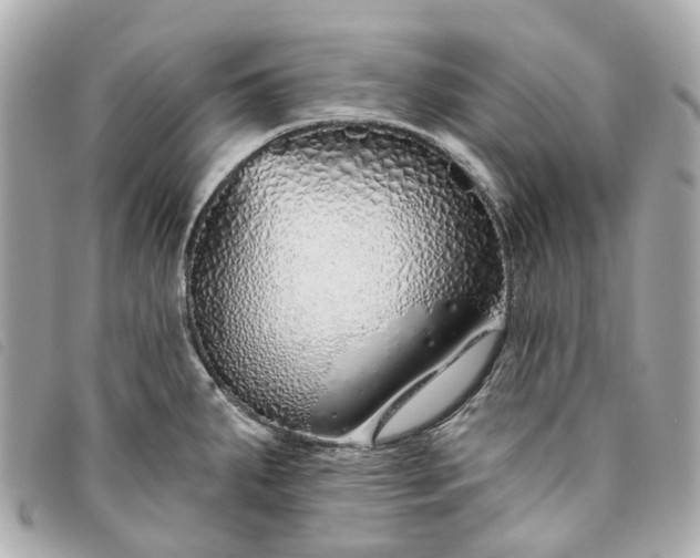 X0000093501287200710261131