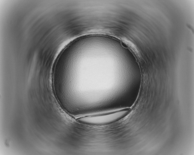 X0000093501288200710261131