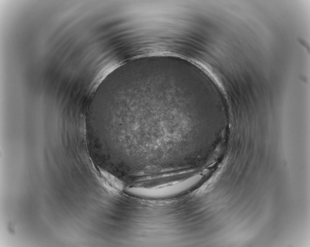 X0000093501289200710261131