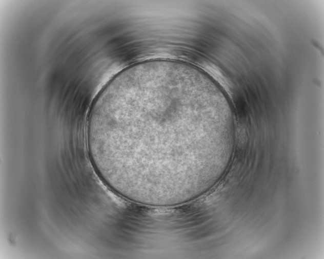 X0000093501290200710261131