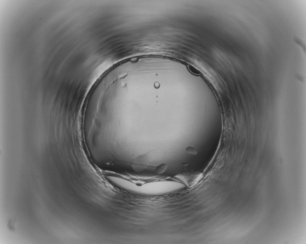 X0000093501291200710261131