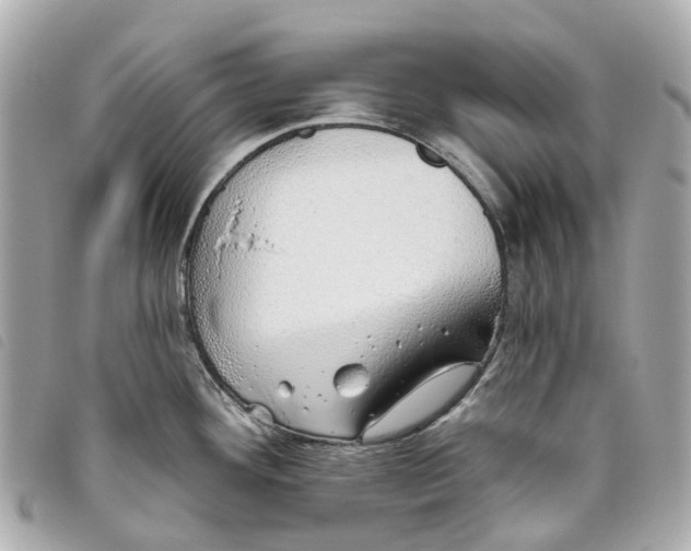 X0000093501292200710261131