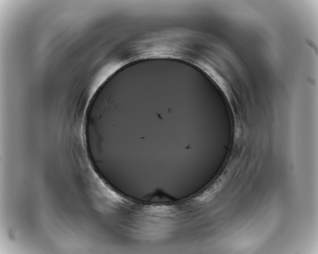 X0000093501293200710261131