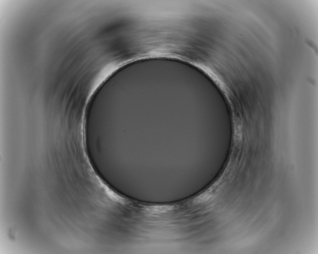 X0000093501294200710261131