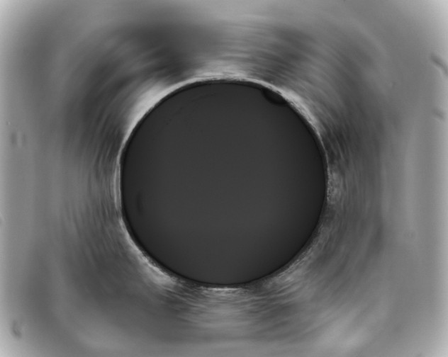 X0000093501295200710261131