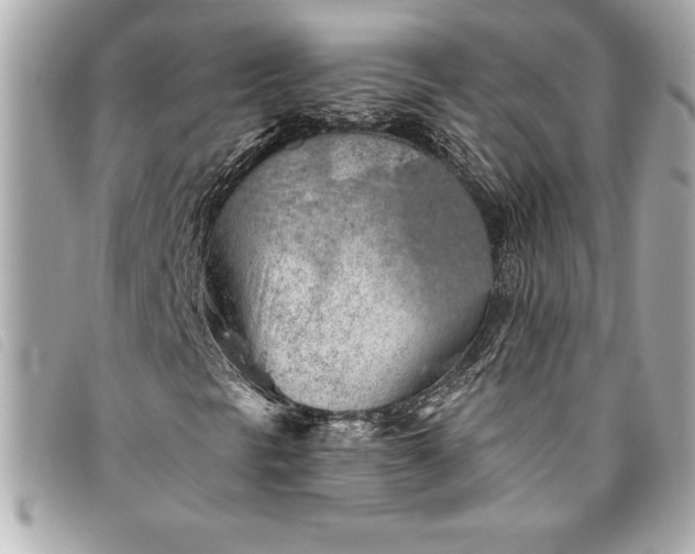 X0000093501297200710261130