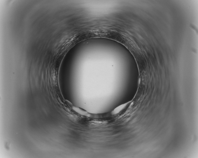 X0000093501298200710261130