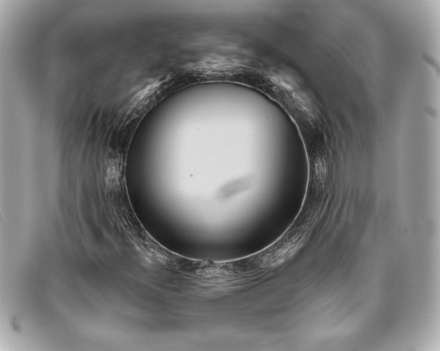 X0000093501300200710261130