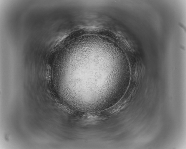 X0000093501301200710261130