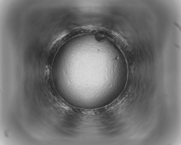 X0000093501302200710261130
