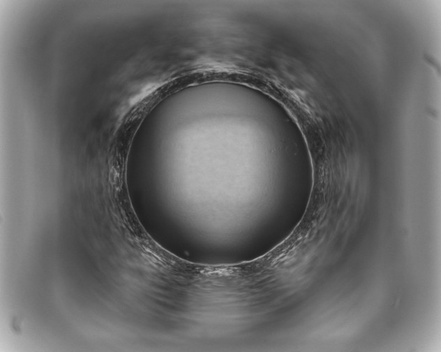X0000093501303200710261130