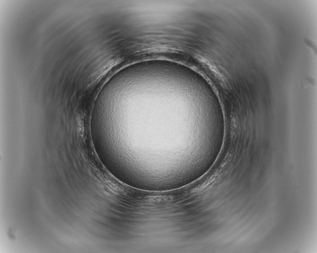 X0000093501305200710261130