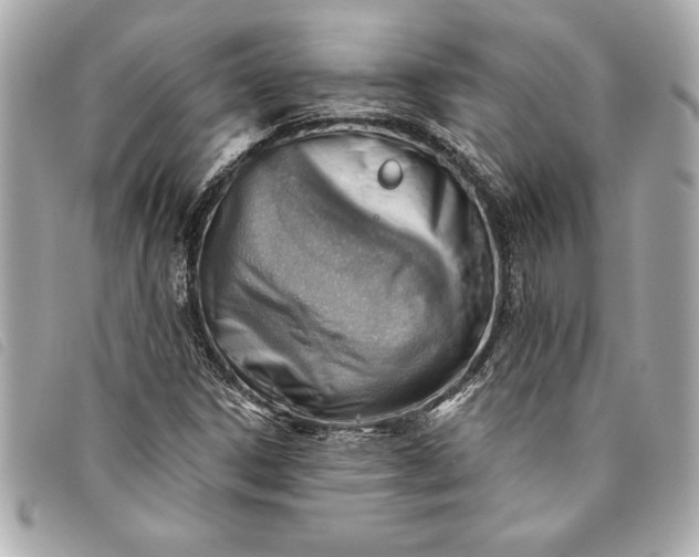 X0000093501306200710261130