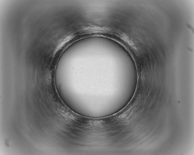 X0000093501309200710261130