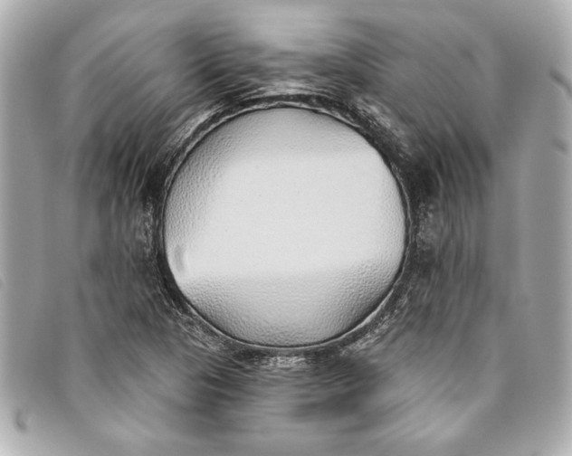 X0000093501313200710261130