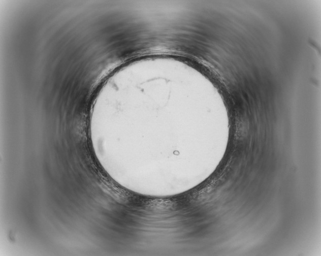 X0000093501314200710261130