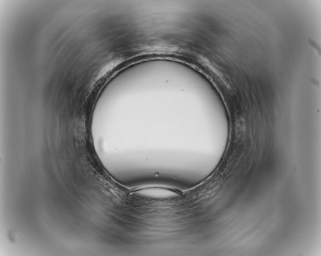 X0000093501315200710261130