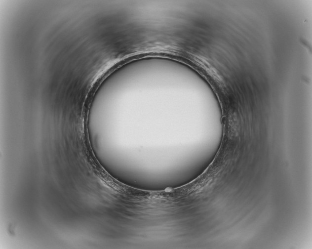 X0000093501316200710261130