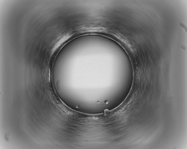 X0000093501317200710261130