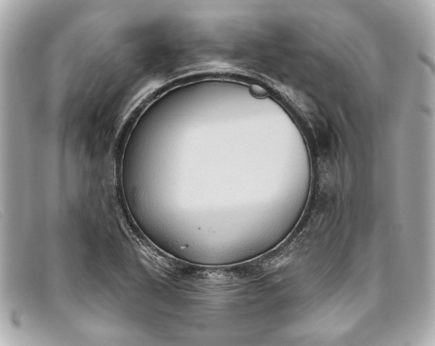 X0000093501318200710261130