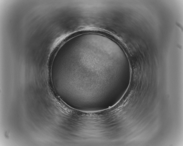 X0000093501319200710261130