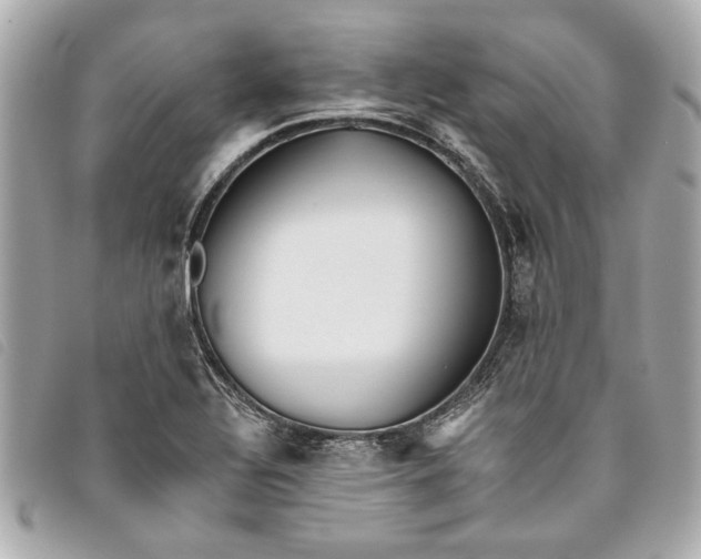 X0000093501320200710261130