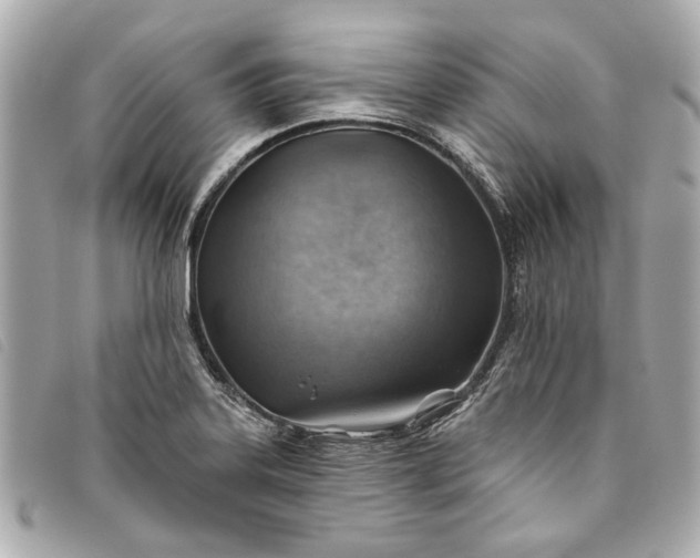 X0000093501323200710261130