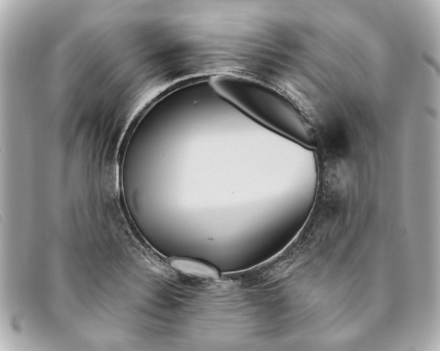 X0000093501324200710261130