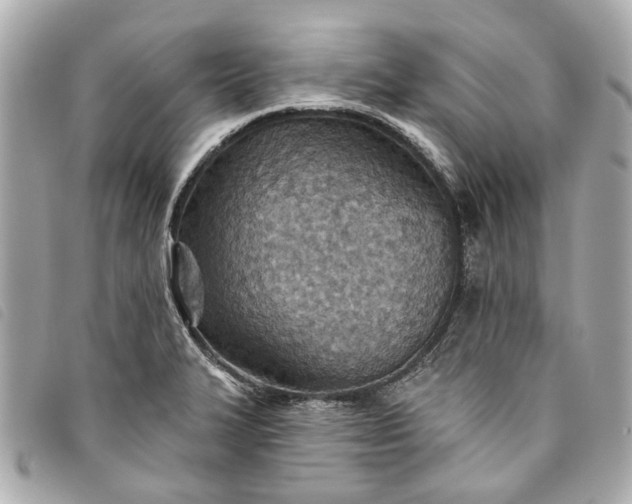 X0000093501327200710261130