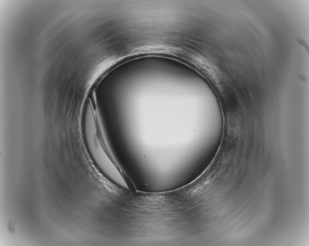 X0000093501328200710261130