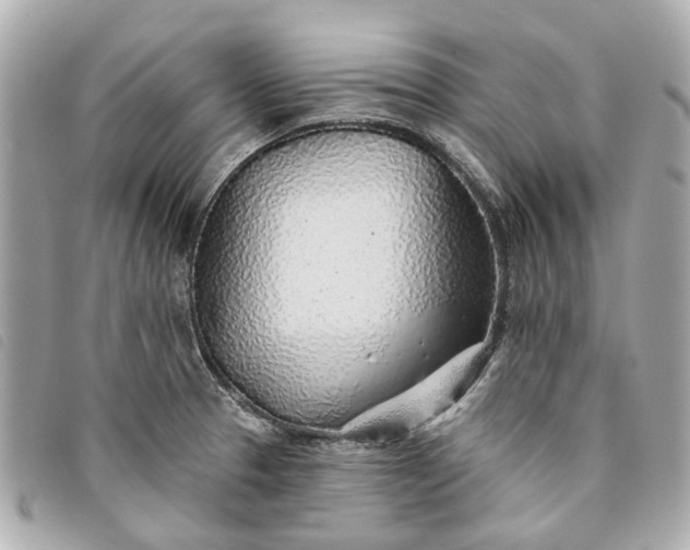 X0000093501329200710261130