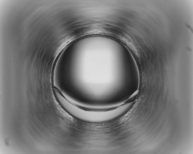 X0000093501330200710261130