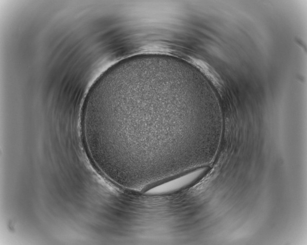 X0000093501331200710261130