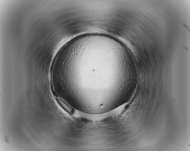 X0000093501335200710261130