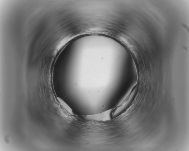 X0000093501336200710261130