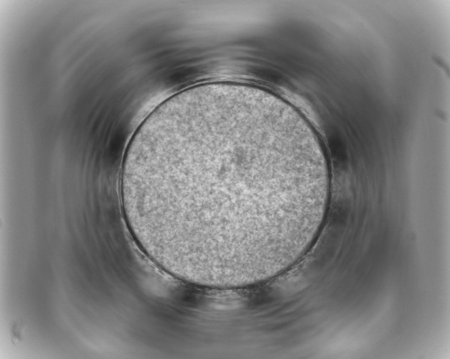 X0000093501338200710261130